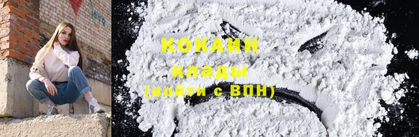 соль ск Саяногорск
