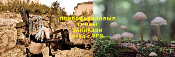 соль ск Саяногорск